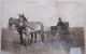 Delbert Wilson McPhail